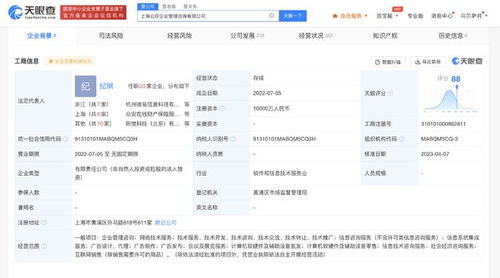 螞蟻集團子公司資本激增9900%，加速布局信息系統集成服務